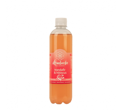 IKOMBUCHA CU TRANDAFIR SI HIBISCUS 500 ML